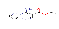 ethyl7-amino-2-methylpyrazolo[1,5-a]pyrimidine-6-carboxylateͼƬ