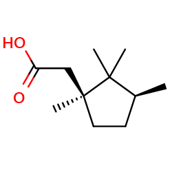 2-[(1S,3S)-1,2,2,3-tetramethylcyclopentyl]aceticacidͼƬ