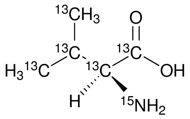 L-Ӱ13C5,15NͼƬ