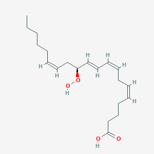 12(S)-HpETEͼƬ