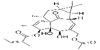 20-O-Acetylingenol-3-angelate图片