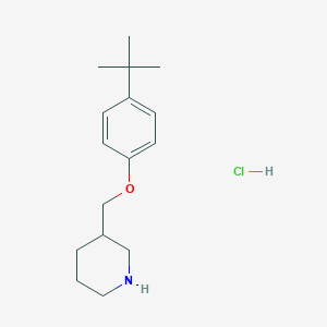 4-(tert-Butyl)phenyl 3-Piperidinylmethylether HydrochlorideͼƬ