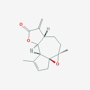 Mesatlantin CͼƬ