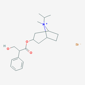 8-anti-Ipratropium BromideͼƬ