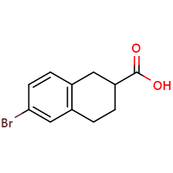 6-Bromo-1,2,3,4-tetrahydro-2-naphthoicacidͼƬ