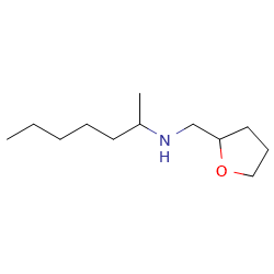 (heptan-2-yl)[(oxolan-2-yl)methyl]amineͼƬ