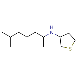 N-(6-methylheptan-2-yl)thiolan-3-amineͼƬ