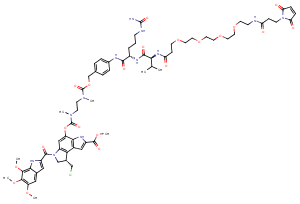 Mal-PEG4-VC-PAB-DMEA-Seco-Duocarmycin SAͼƬ