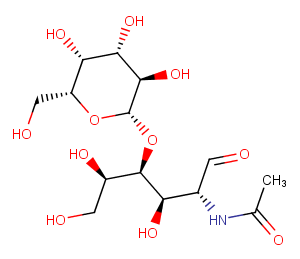 N-acetyl-D-LactosamineͼƬ