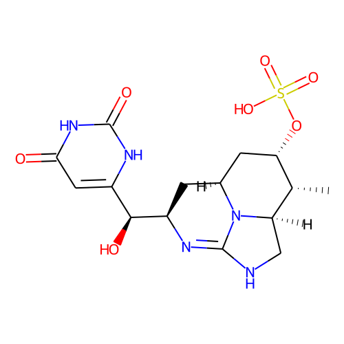 CylindrospermopsinͼƬ