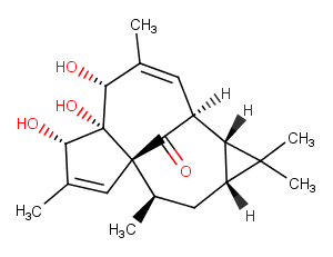 20-DeoxyingenolͼƬ