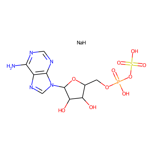 Adenosine 5'-phosphosulfate(sodium salt)ͼƬ