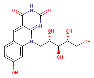 Coenzyme FOͼƬ