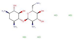 Neamine tetrahydrochlorideͼƬ