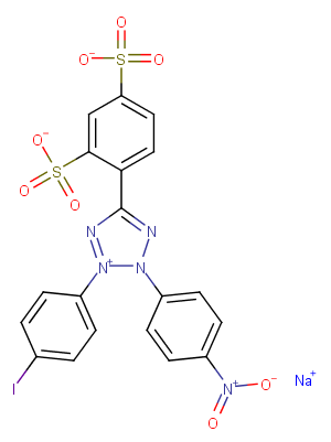 WST-1ͼƬ