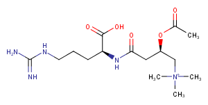 Acetylcarnitine arginyl amideͼƬ