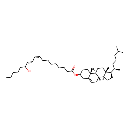 ()13-HODE cholesteryl esterͼƬ