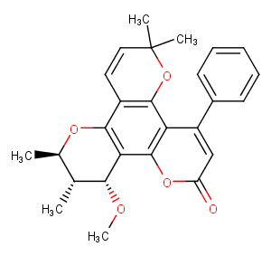 12-O-Methylinophyllum AͼƬ