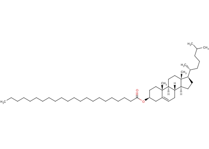 Cholesteryl Behenate图片