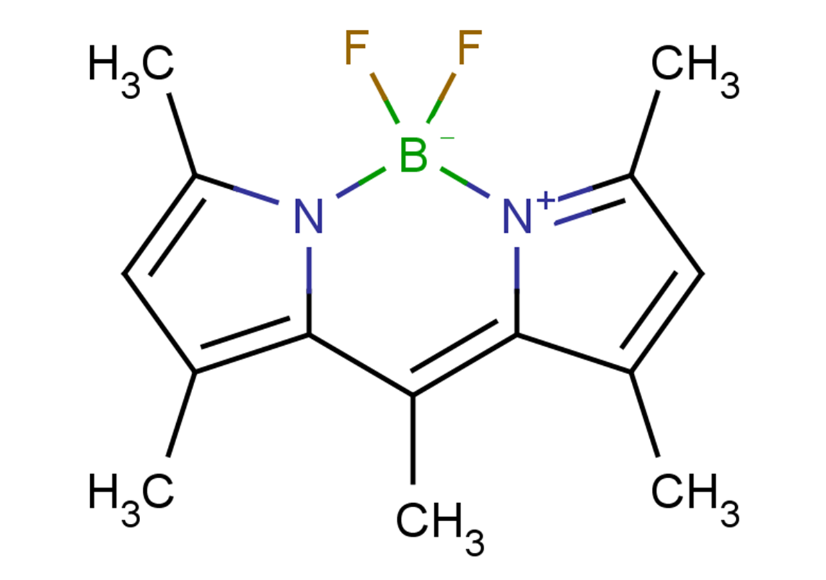 BODIPY 493/503ͼƬ