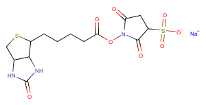 Sulfo-NHS-BiotinͼƬ