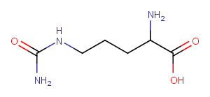 2-Amino-5-ureidopentanoic acidͼƬ