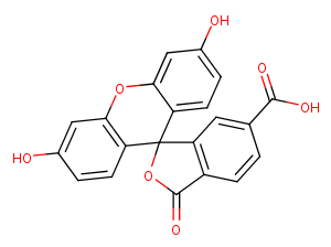 6-FAMͼƬ