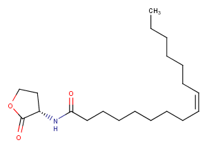 N-cis-hexadec-9Z-enoyl-L-Homoserine lactoneͼƬ