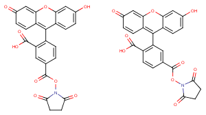 5(6)-FAM SEͼƬ