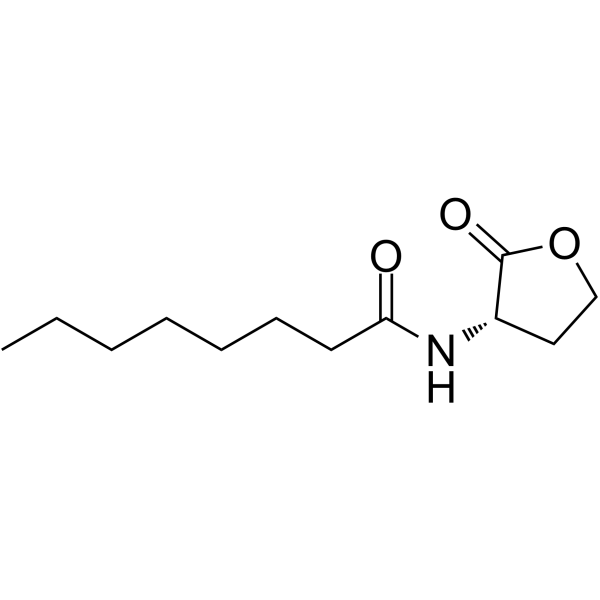 N-octanoyl-L-Homoserine lactone图片