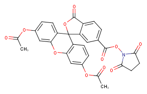 6-CFDA N-succinimidyl esterͼƬ