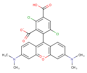 1,4-Dichloro 5-carboxytetramethylrhodamineͼƬ