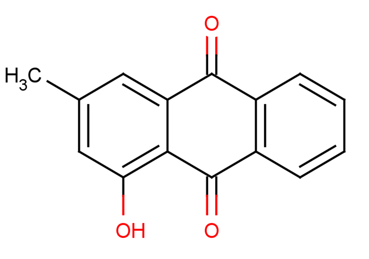 PachybasinͼƬ