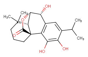 EpirosmanolͼƬ