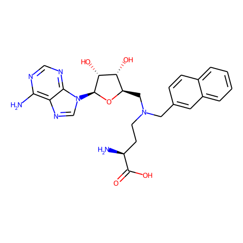 Bisubstrate Inhibitor 78ͼƬ