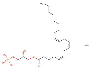 1-Arachidonoyl Lysophosphatidic Acid(ammonium salt)ͼƬ