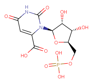 Orotidine 5′-monophosphate图片