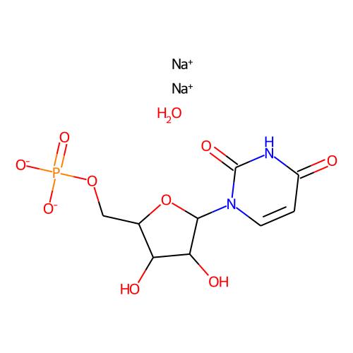 Uridine-5'-monophosphate(sodium salt hydrate)ͼƬ