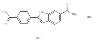 DAPI DihydrochlorideͼƬ