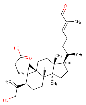 Coronalolic acidͼƬ