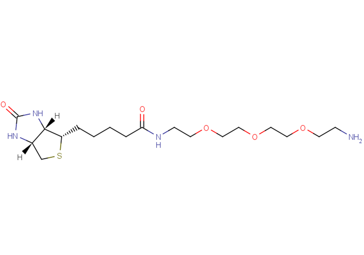 Amine-PEG3-BiotinͼƬ