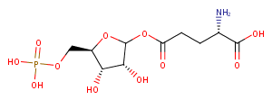 Glutamyl ribose 5-phosphateͼƬ