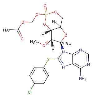 8-pCPT-2-O-Me-cAMP-AM图片