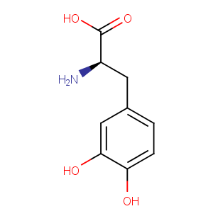 D-DOPA图片