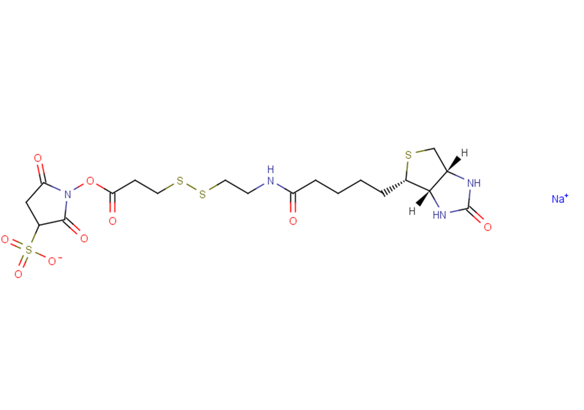 Sulfo-NHS-SS-Biotin sodiumͼƬ