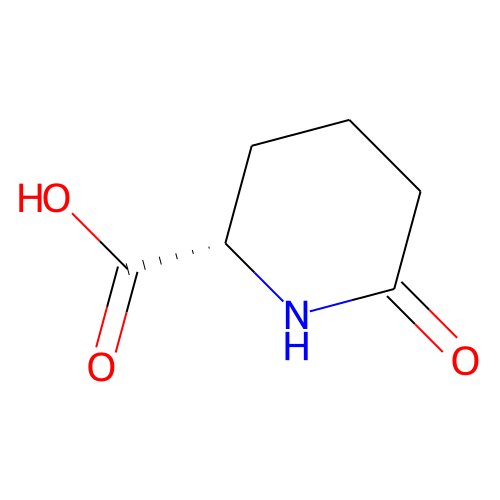 L-Pyrohomoglutamic AcidͼƬ