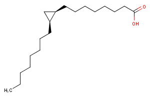 cis-9,10-Methyleneoctadecanoic AcidͼƬ