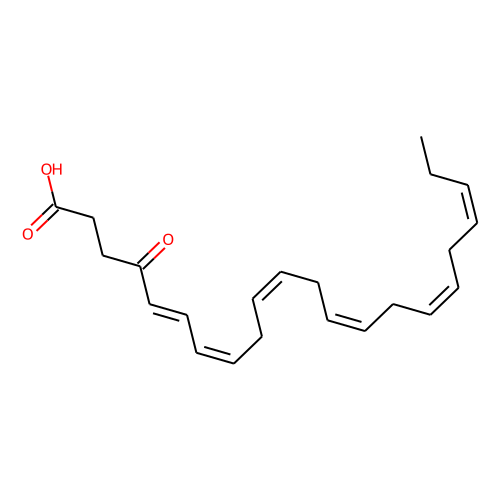 4-oxo Docosahexaenoic AcidͼƬ