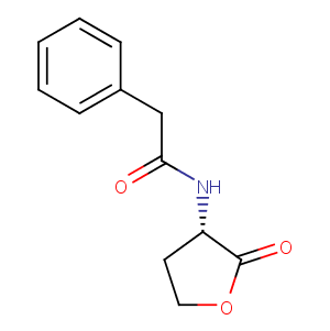 N-phenylacetyl-L-Homoserine lactoneͼƬ