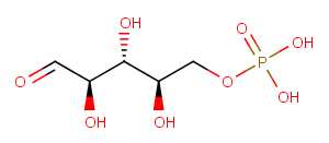 D-Ribose 5-phosphateͼƬ